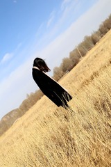 IMG_7232_