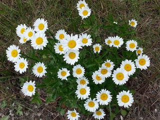 20130525_124425