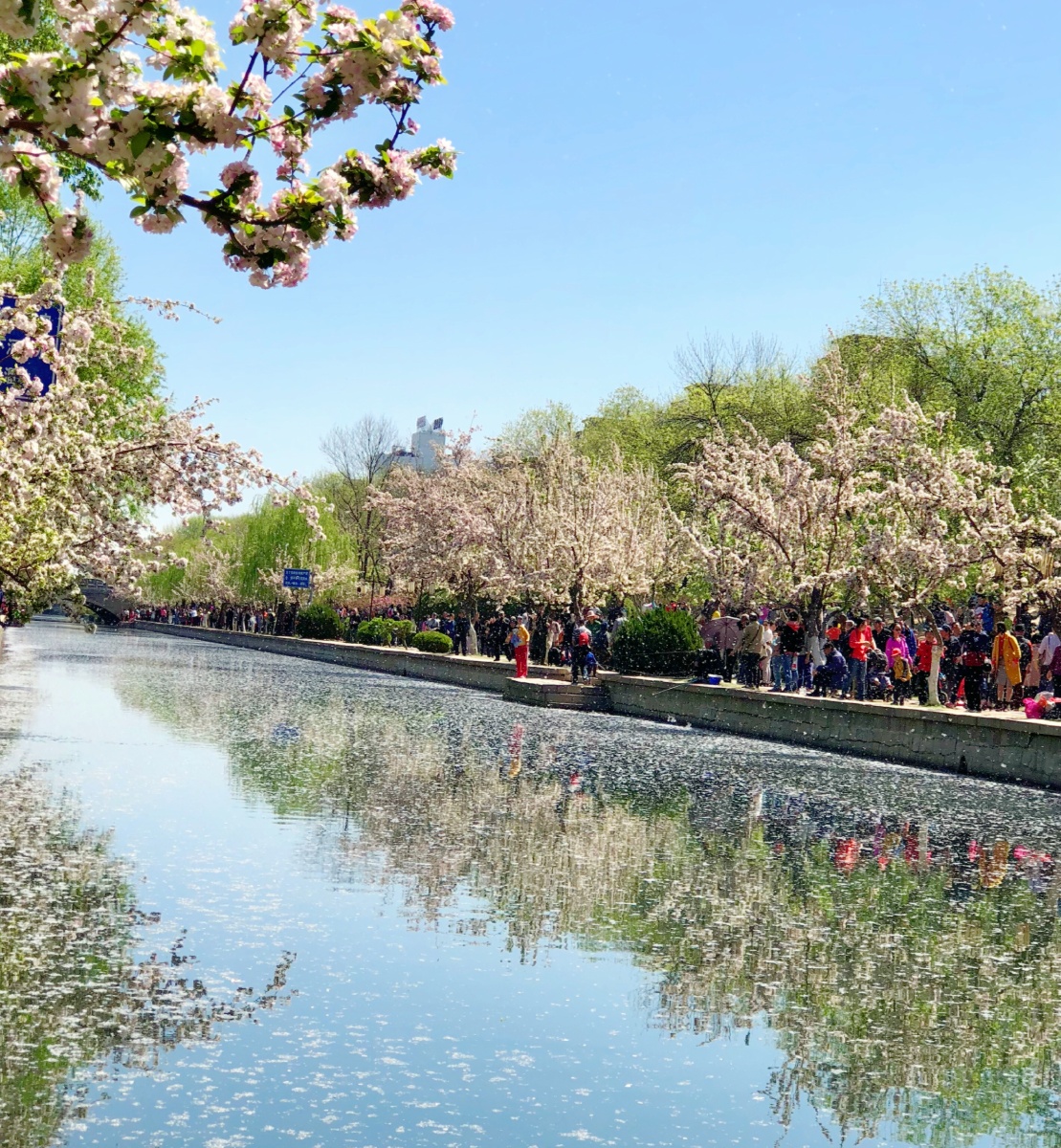 北京海棠花溪