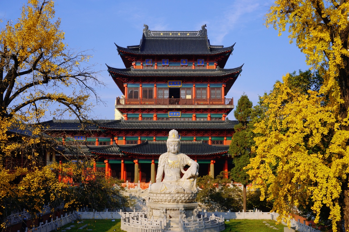 南京毗卢寺深秋银杏美景