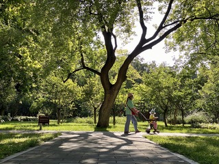 IMGP5869-1