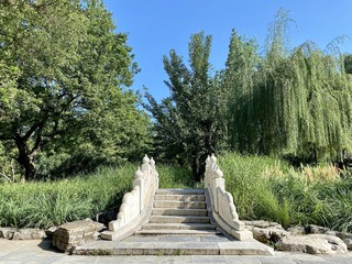 IMGP5870-1