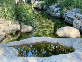 IMGP5875-1