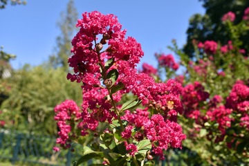 IMGP6110-1