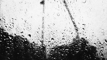 7612_2012121909300800_DSC_0096