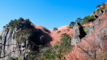IMG_8747-1.jpg