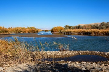 IMG_0193.JPG