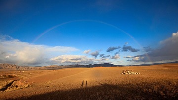 IMG_8434.JPG