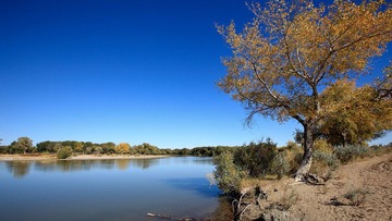 IMG_8647.JPG