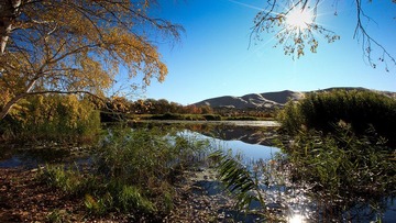 IMG_8902.JPG