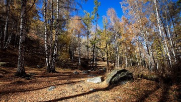 IMG_9511.JPG