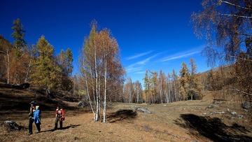 IMG_9517.JPG