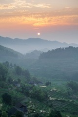 IMG_0644-1.jpg
