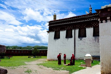 DSC_0584a.jpg