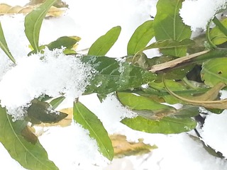 20140207_111530