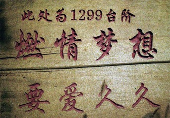 B8DW8233.jpg