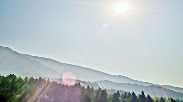 B8DW1988-2 - 副本.jpg