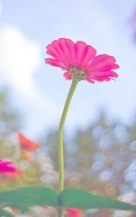B8DW8493.jpg