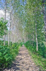 B8DW8524 - 副本.jpg