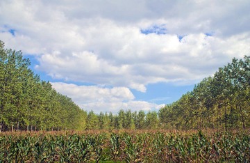 B8DW8547 - 副本.jpg