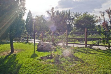 B8DW8732.jpg