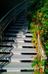 B8DW8698-2.jpg