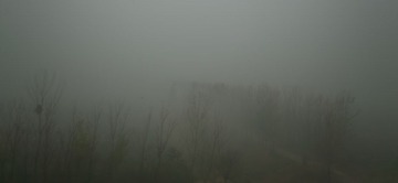 B8DW8960.jpg