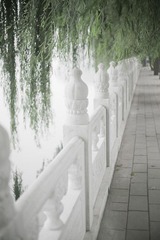 B8DW9329 - 副本.jpg
