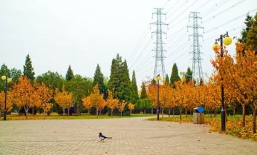 B8DW9430 - 副本.jpg