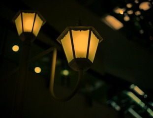 B8DW0145.jpg