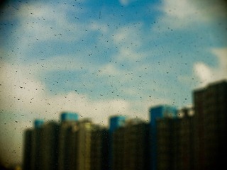 _1050089.jpg