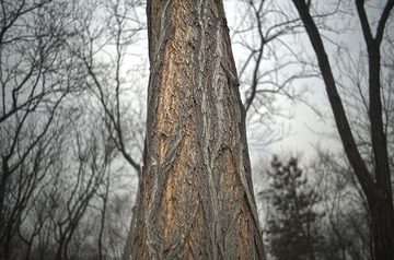 无标题_HDR2.jpg