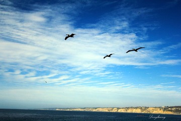 IMG_7379 (2)