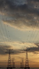 1000000738