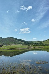 DP1M0766
