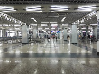 花 2011-3-25A