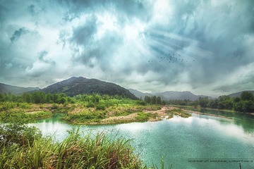 IMG_0319-1