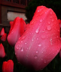 SAM_3634