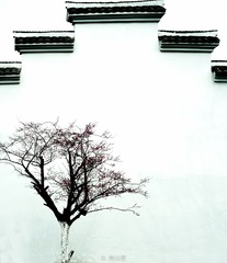 DSCF0545-编辑