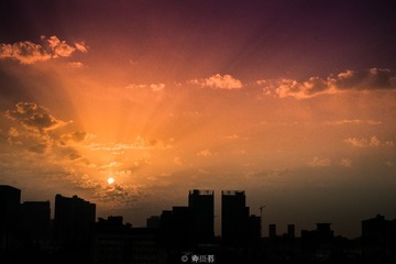 _DSF1213