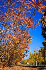 2014.11.3秋之耿丹-1