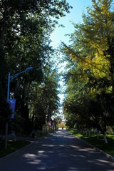 2014.11.3秋之耿丹-6