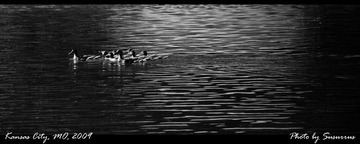 DSC_0950a