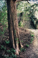 Scan-110722-0014