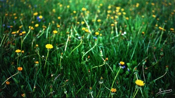 Scan-110722-0021