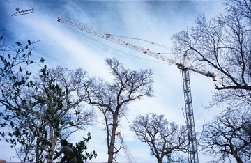 Scan-110721-0003