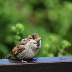 DSC_1100副本.jpg