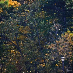 DSC_1480副本.jpg