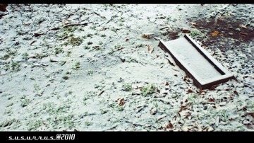 DSC_1920a_1600