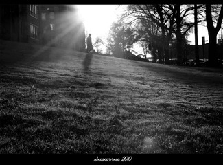 DSC_2297a1600